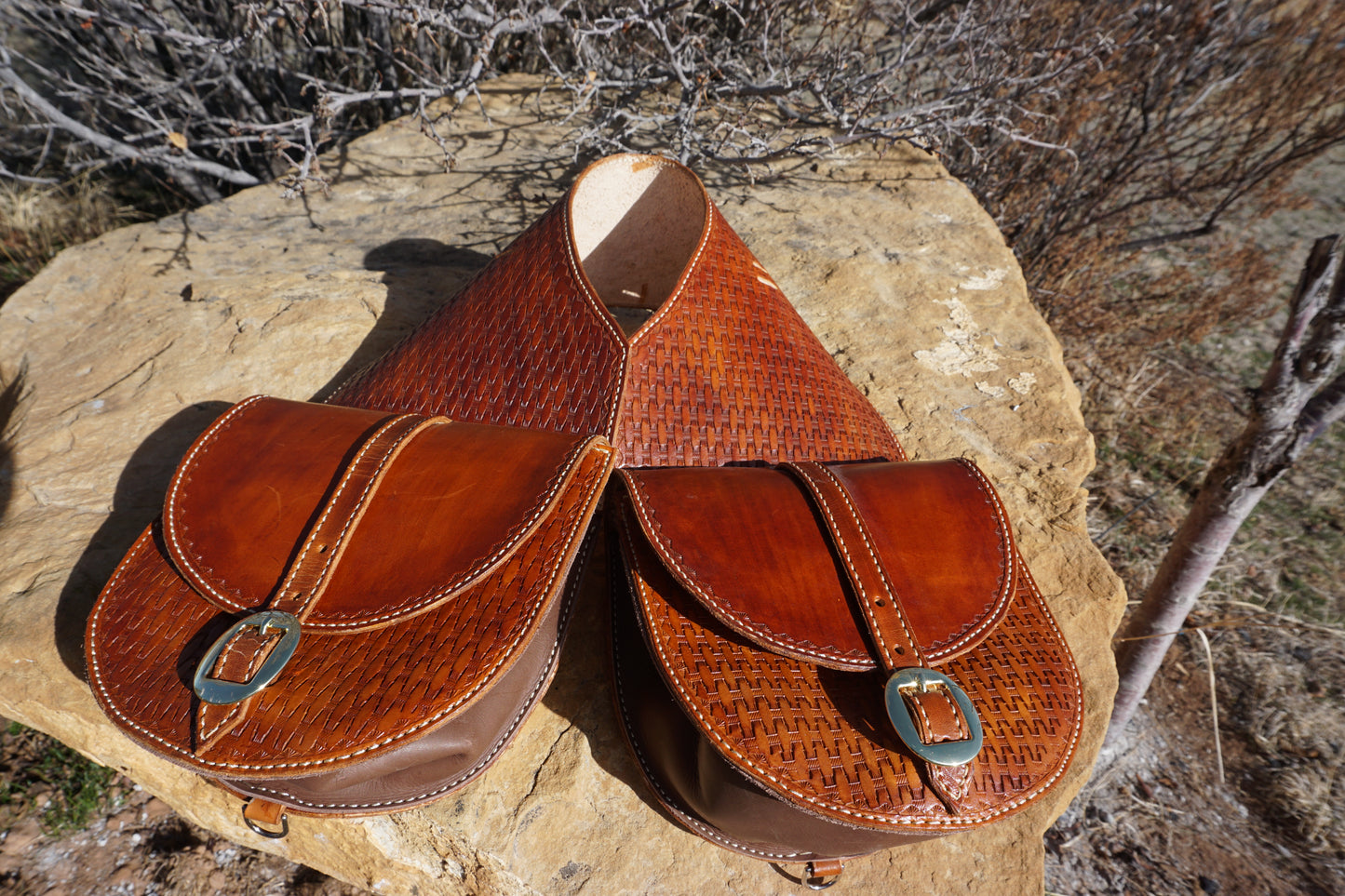 Large Saddle Bags #019