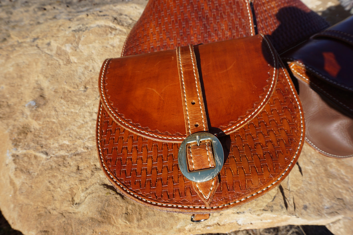 Large Saddle Bags #019