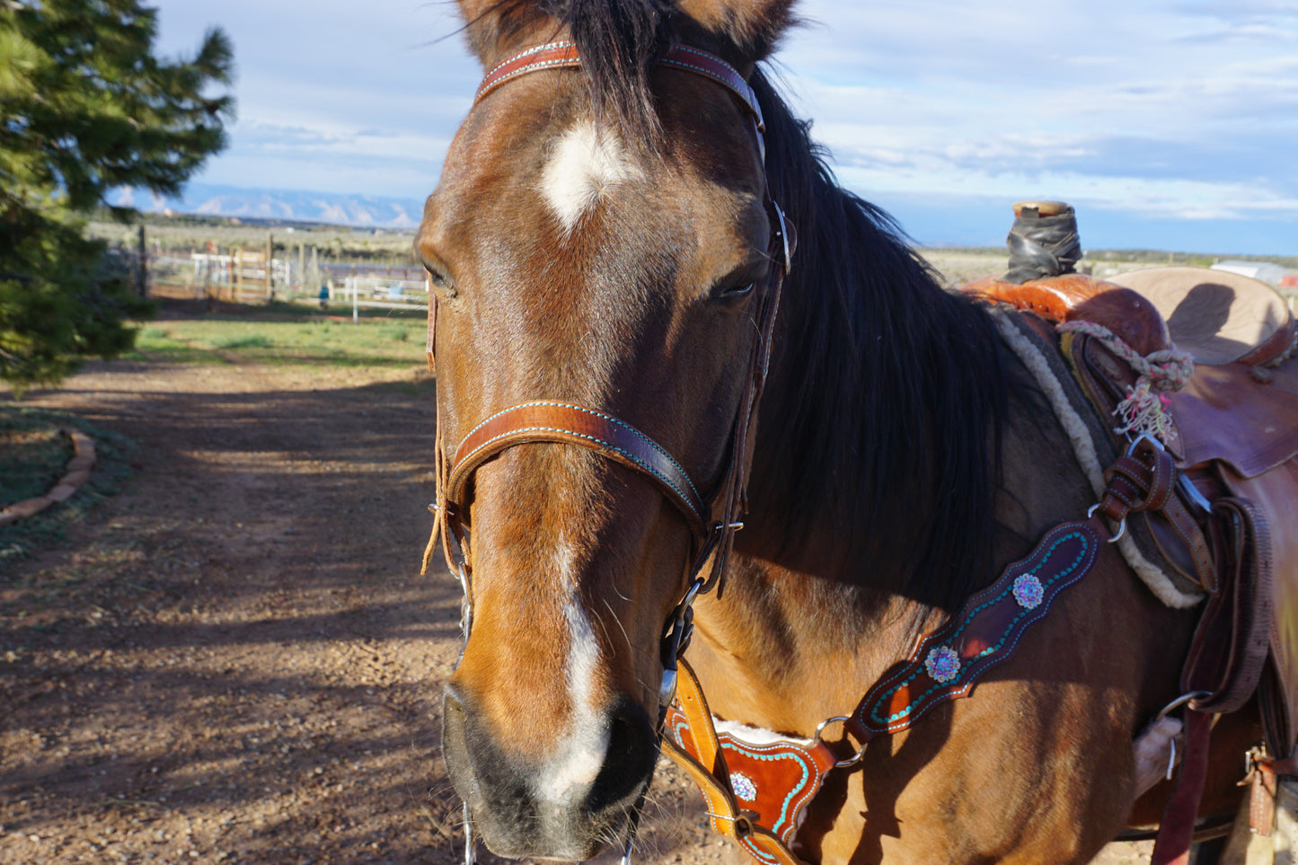 Headstalls