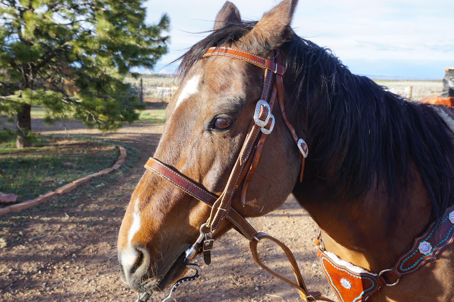 Headstalls