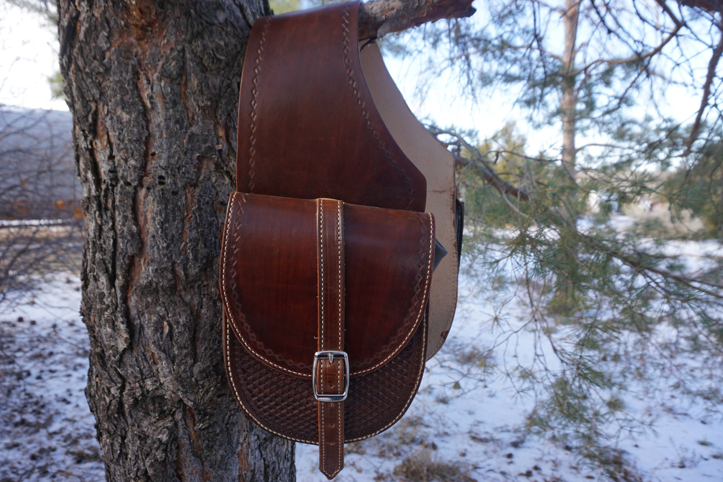 Large Saddle Bags #018