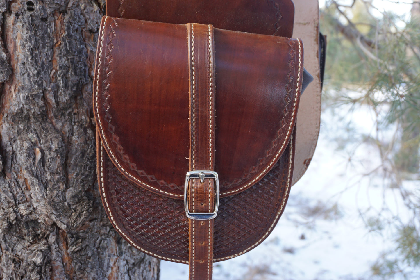 Large Saddle Bags #018