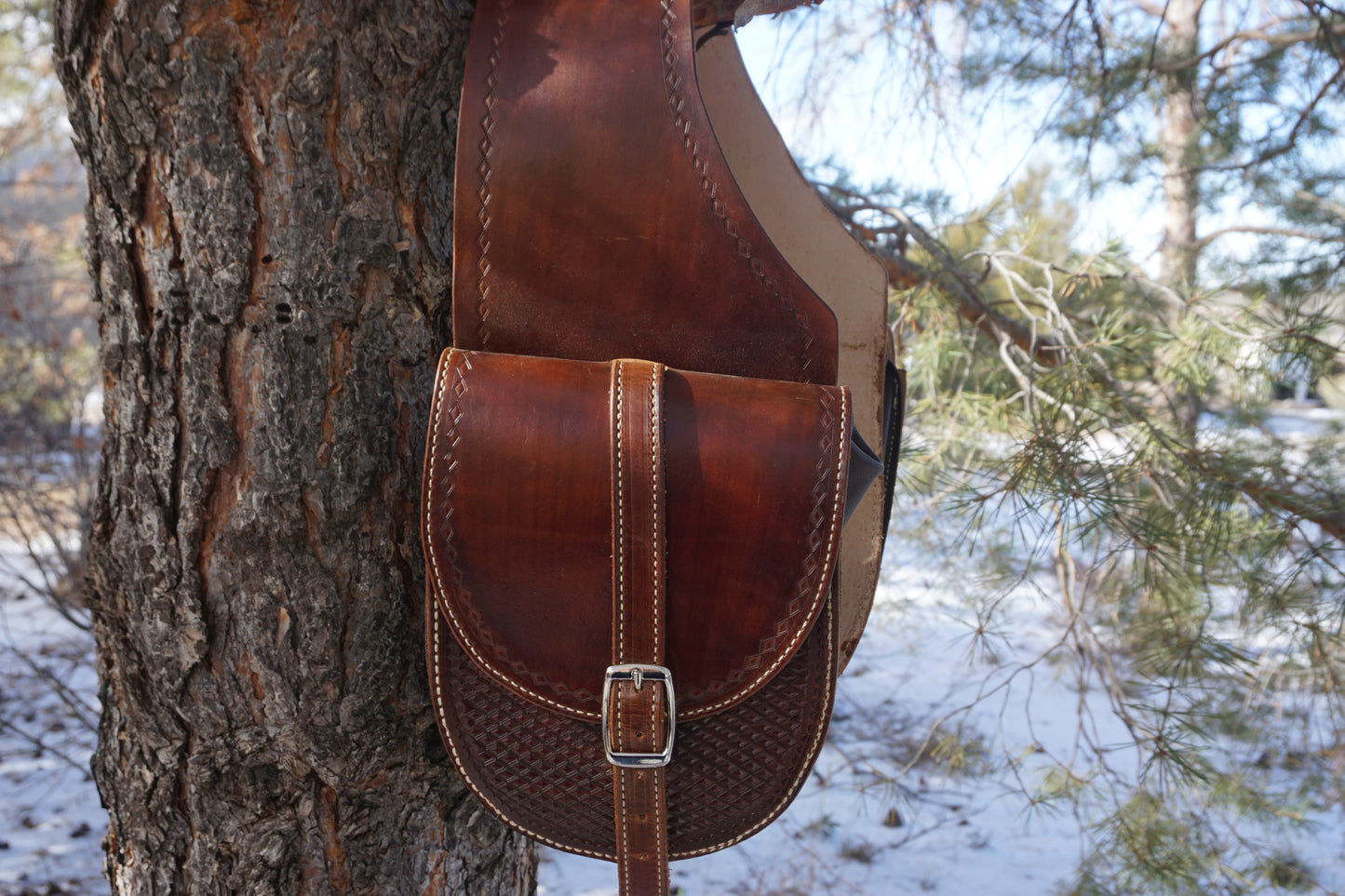 Large Saddle Bags #018