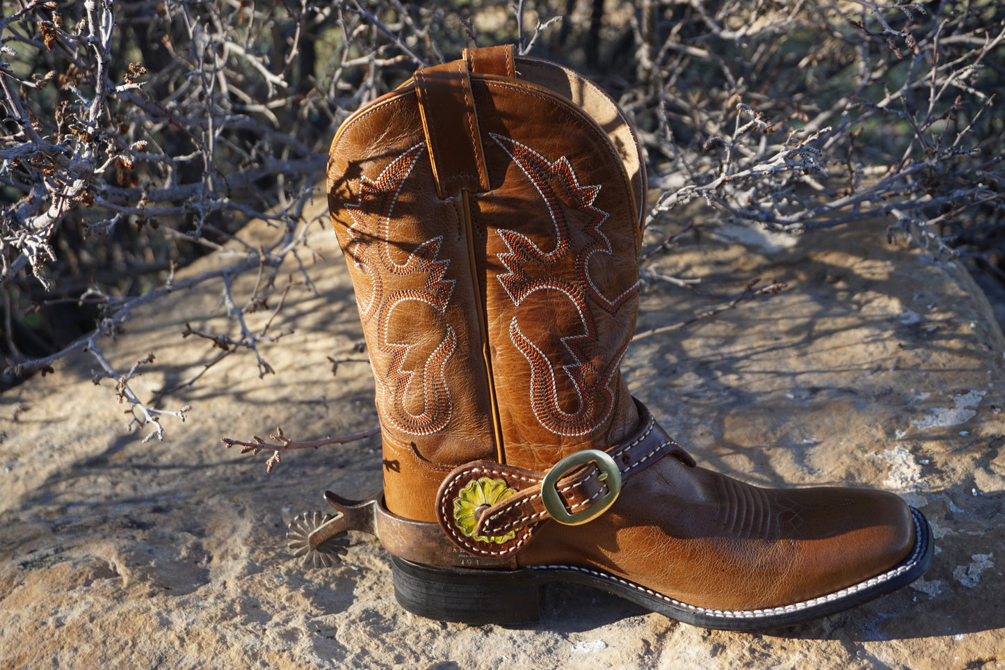 Spur Strap #080