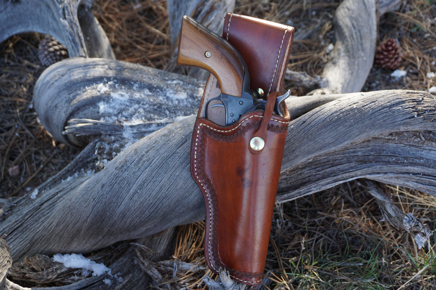 Holster 05