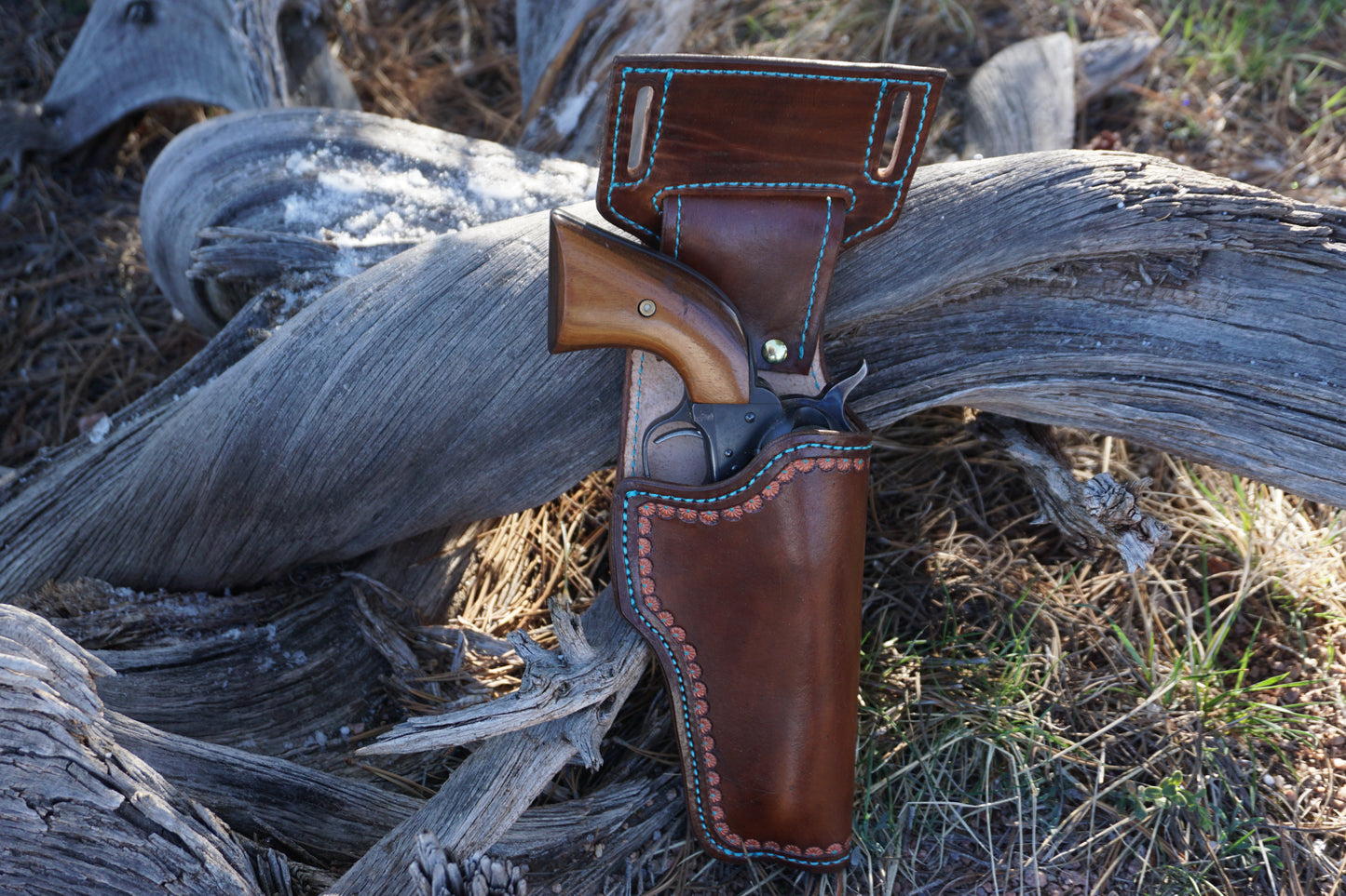 Holster 03