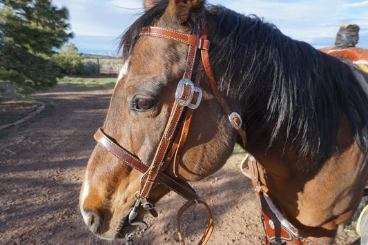 Headstalls