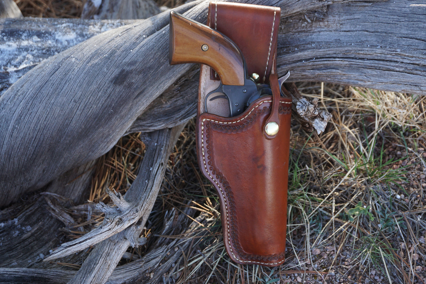 Holster 05