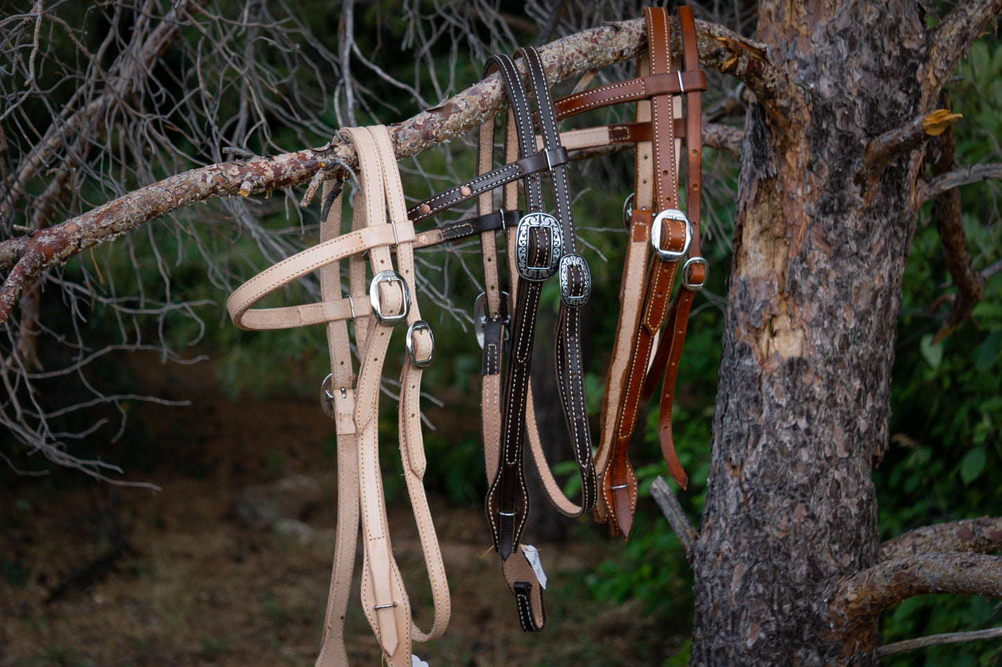 Headstall